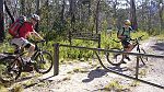 11-Cowombat Flat, here we come!